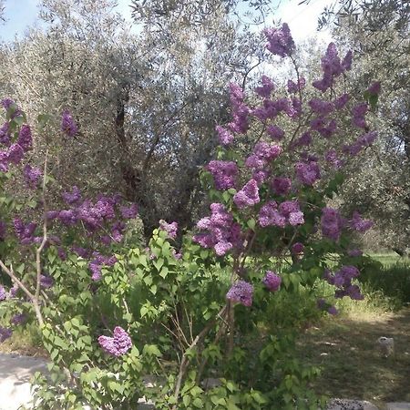 Masseria Costanza ปูติญญาโน ภายนอก รูปภาพ