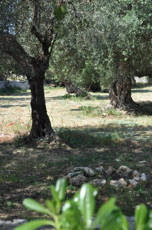 Masseria Costanza ปูติญญาโน ภายนอก รูปภาพ